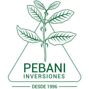 Pebani logo transparente